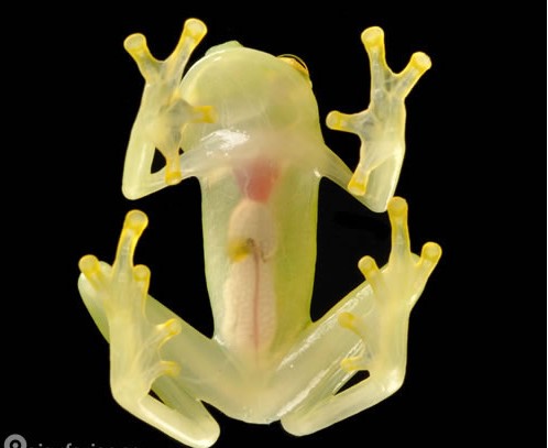 ��Ȥ���� �����ϵ�������Ｏ�ϣ�ͼ��