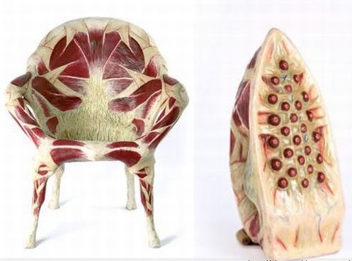 �������չ ������Ƭ��������ͼ��