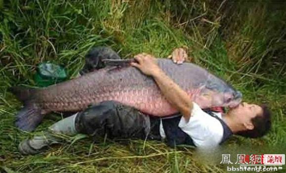 �����𾪵ľ������� �����������Ȥͼ��