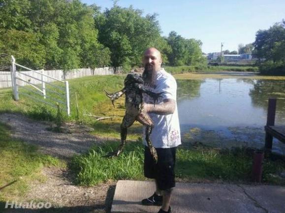 ��ͼ��֤���������Ц�ֿ��� ��ЦͼƬ