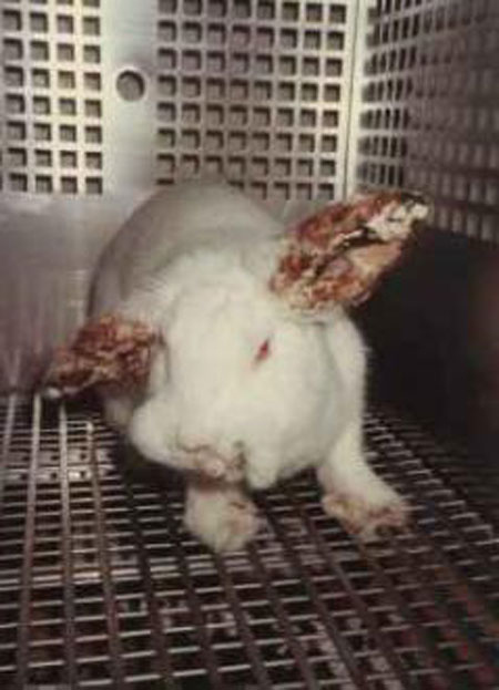 ���أ��Ҳ��̶õĶ���ʵ�����Ƭ��ͼ��