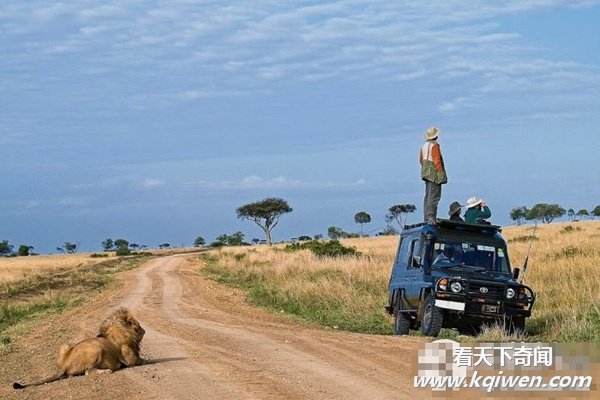 �̲�סЦ���Ŀ�ͼ