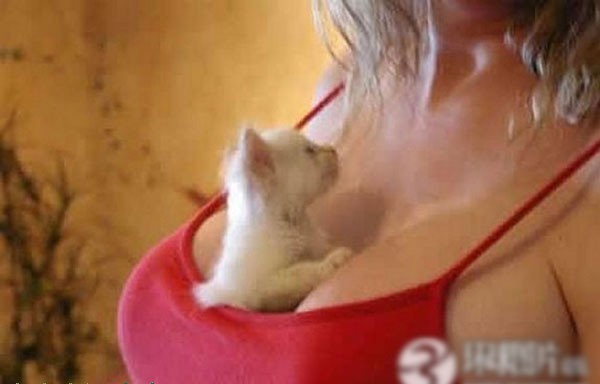 ��Ů������������ĳ����˹���ͼ�� ������ذ�(��ͼ)