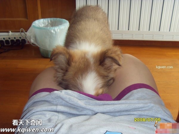 ��ɫ������ɧ��˲��